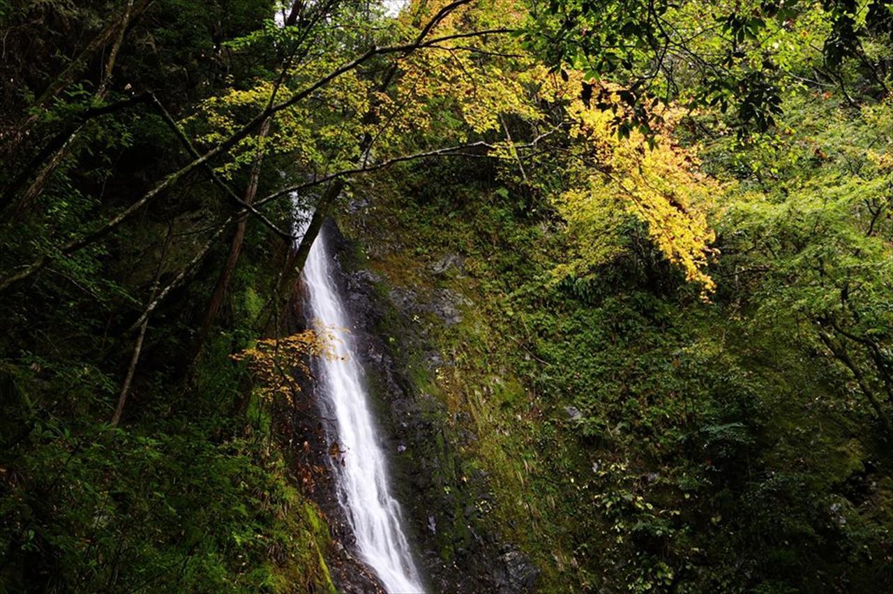 Hashimoto Yadori Onsen Iyashinoyu 빌라 외부 사진