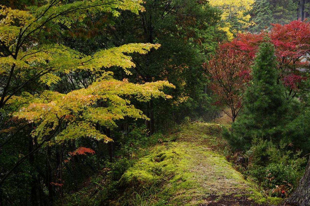 Hashimoto Yadori Onsen Iyashinoyu 빌라 외부 사진