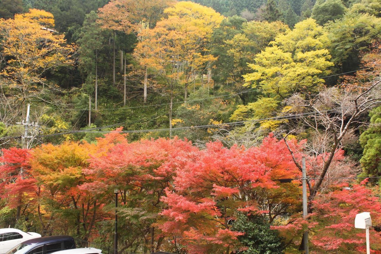 Hashimoto Yadori Onsen Iyashinoyu 빌라 외부 사진