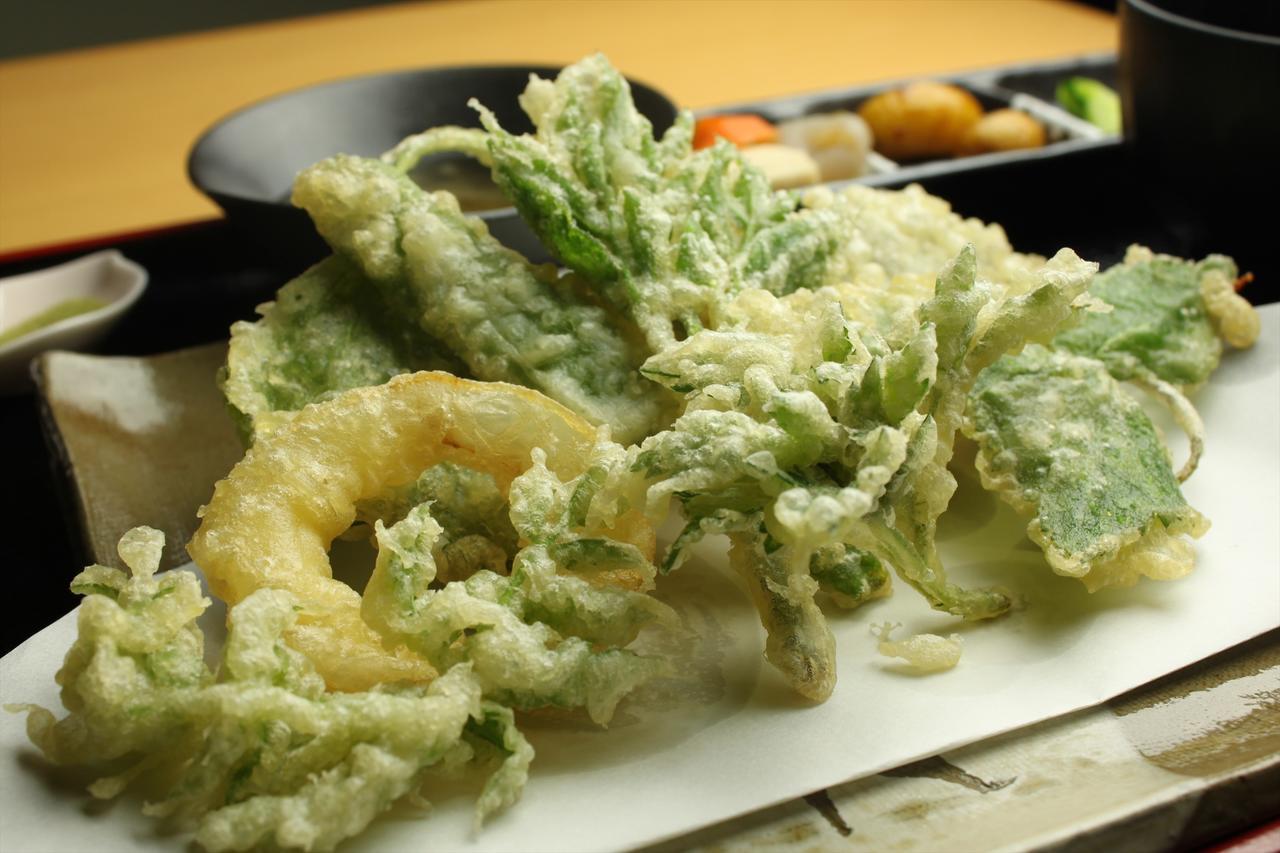 Hashimoto Yadori Onsen Iyashinoyu 빌라 외부 사진